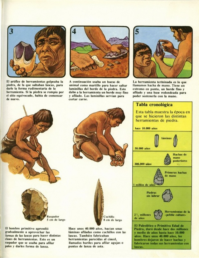 la-prehistoria-ilustrada-para-nios-03-el-hombre-primitivo-a-mc-cord-plesa-1977-18-638